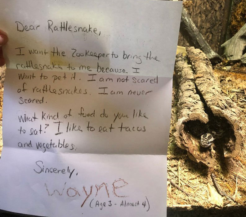 Rattlesnake letter
